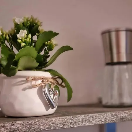 Seeblick Appartement